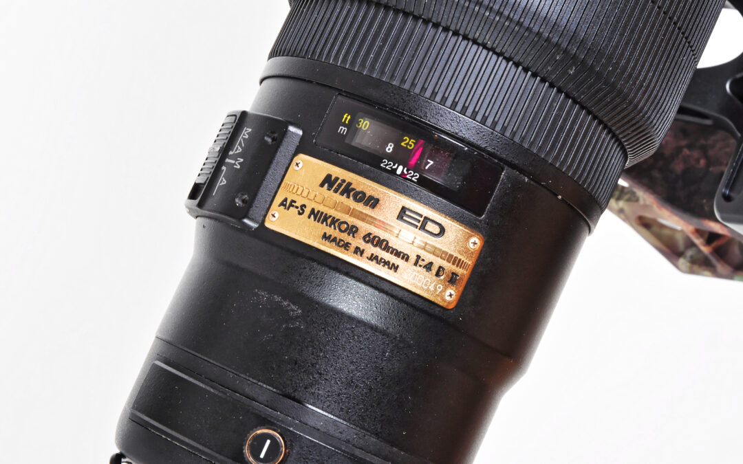 Nikon 600mm f/4 D II AF-S ED
