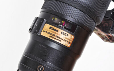 Nikon 600mm f/4 D II AF-S ED